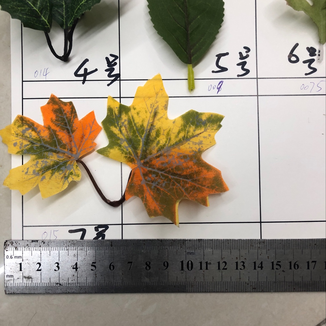 Maple Leaf No. 15