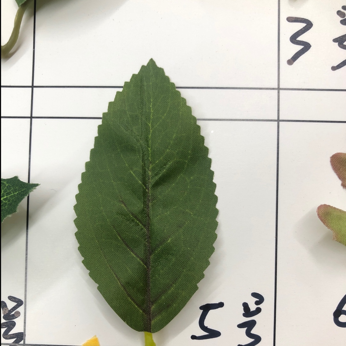 Single leaf No. 5 details Picture