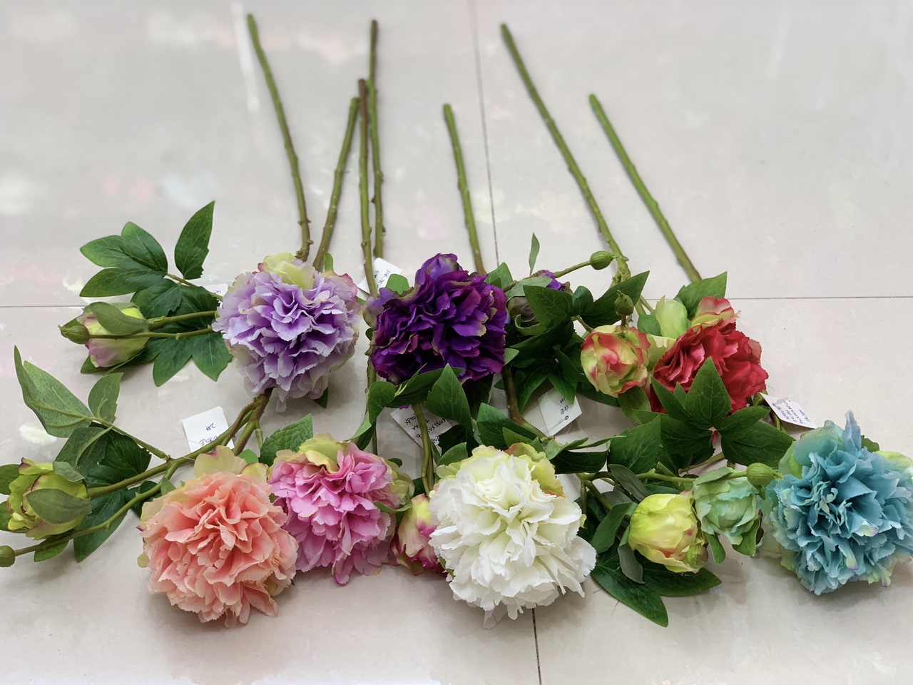 Peony