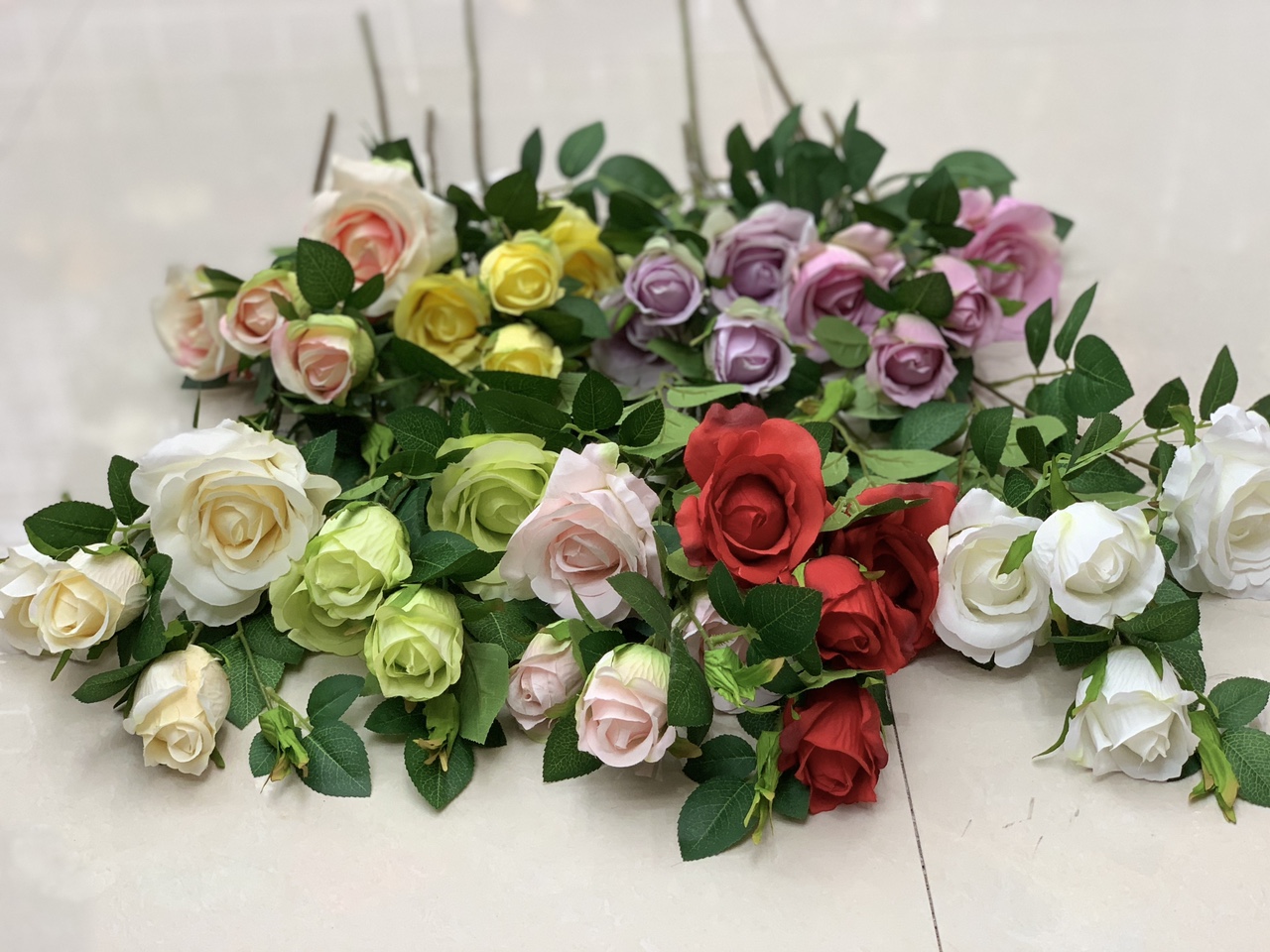 A single rose with four heads