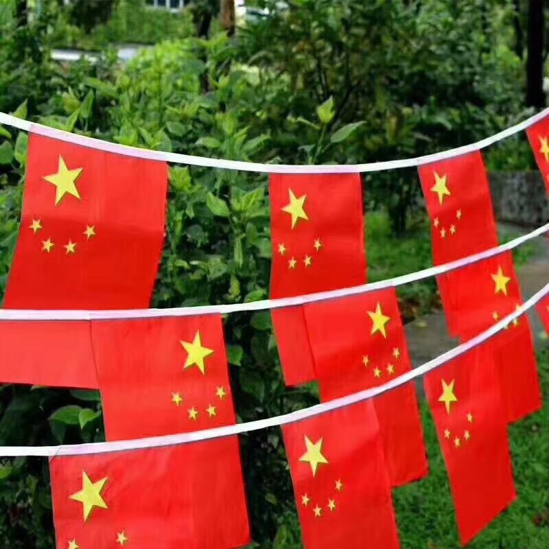 中国串旗  国旗 手摇旗 车旗