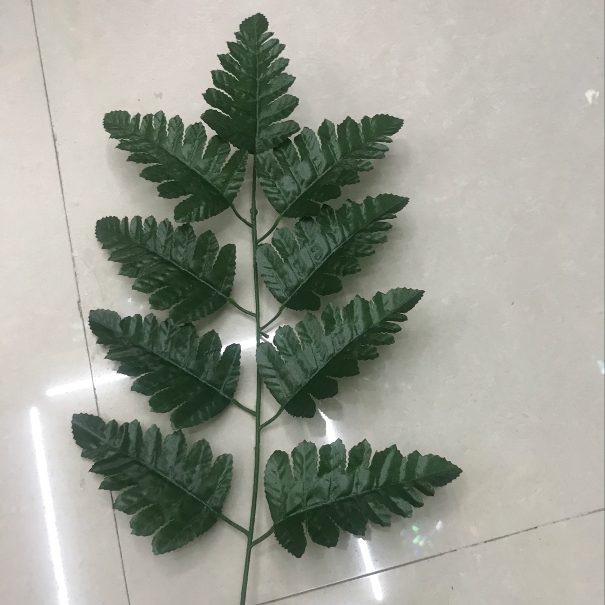 تسعة شوكة داكنة