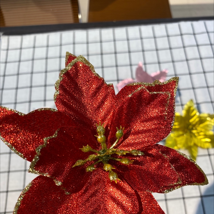 Outline the Christmas flowers detail image 1