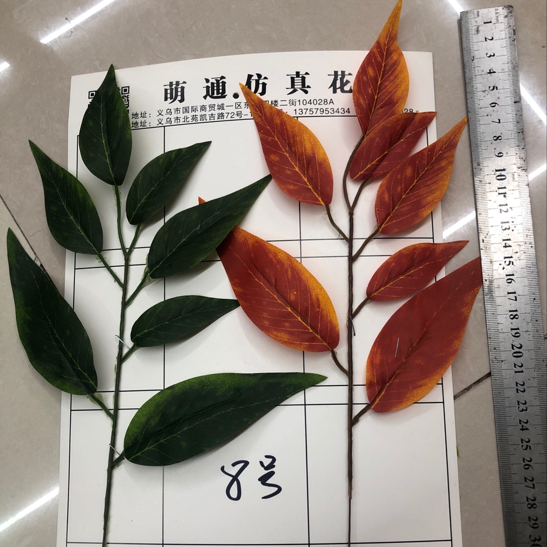 七片叶8号