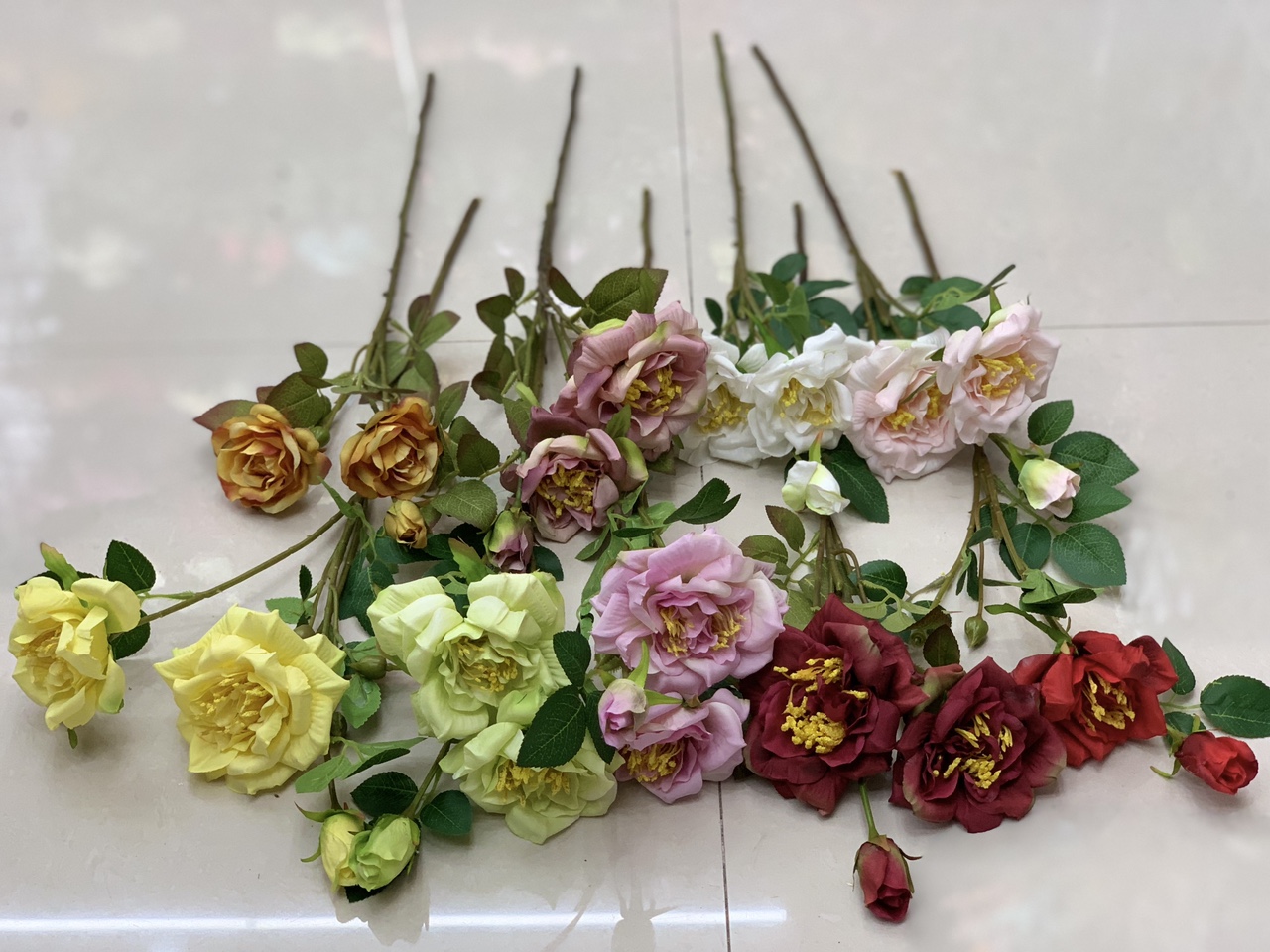 Yellow-fleshed rose