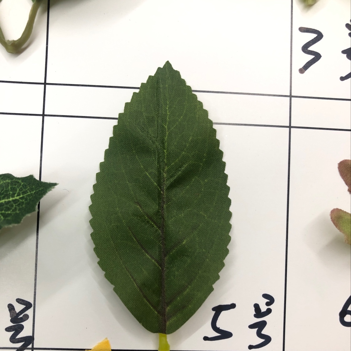Single leaf No. 5 detail image 1