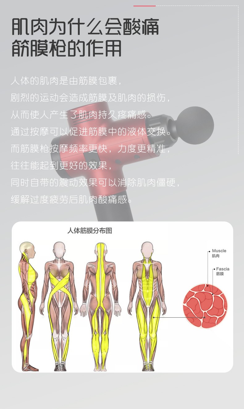 厂家直销可定制手提款电动筋膜枪肌肉放松器高频静音深层健身震动颈膜按摩详情图5