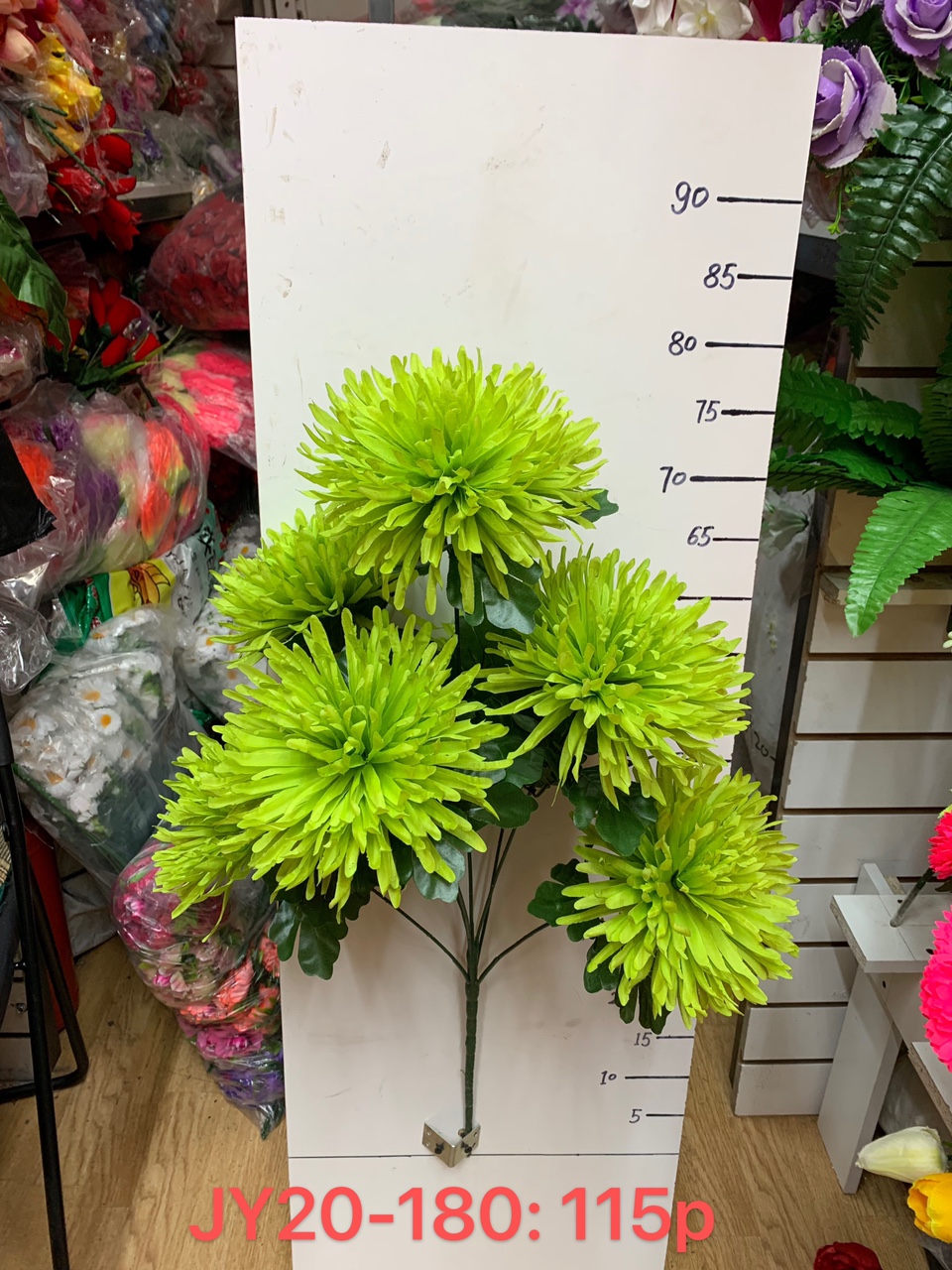 Seven medium-thick tall Persian daisies