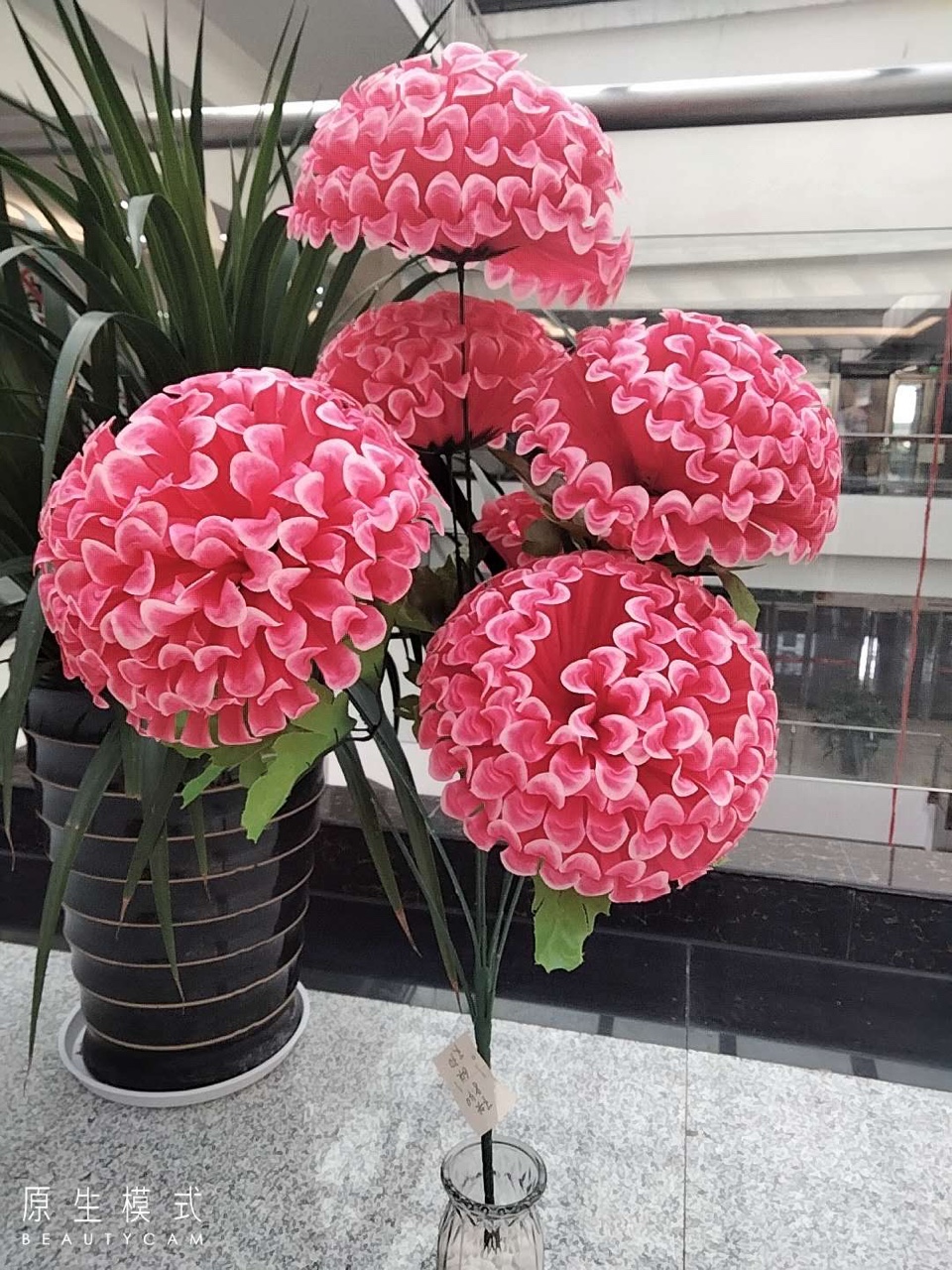 + ٦ وَوَصَبَتْ هِينَةٌ وَاحِدَةٌ وَاحِدَةٌ