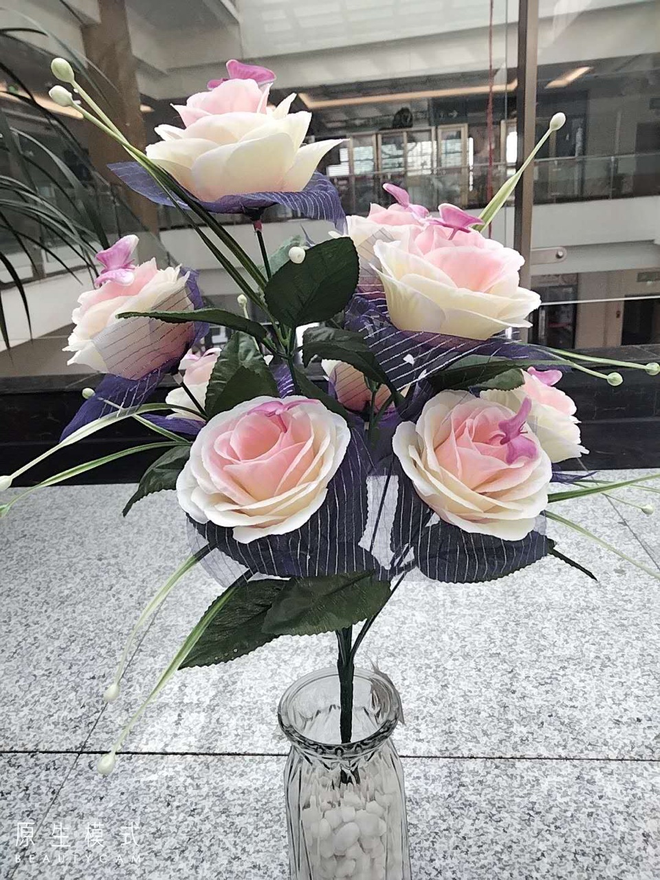 Nine-headed orchid rose