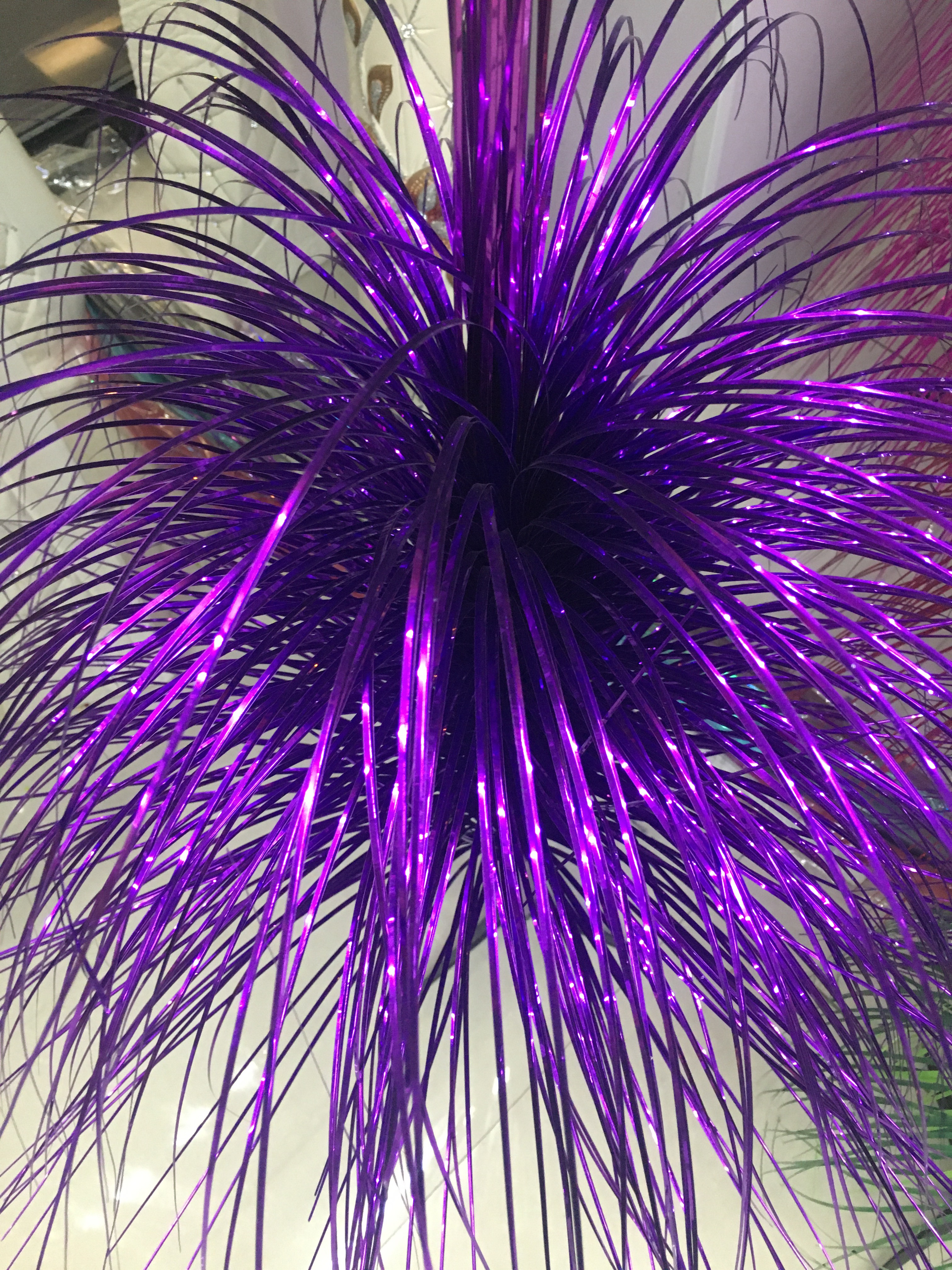 1米茼草DD产品图