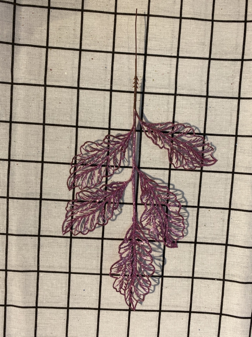 Single dragon's tongue leaf