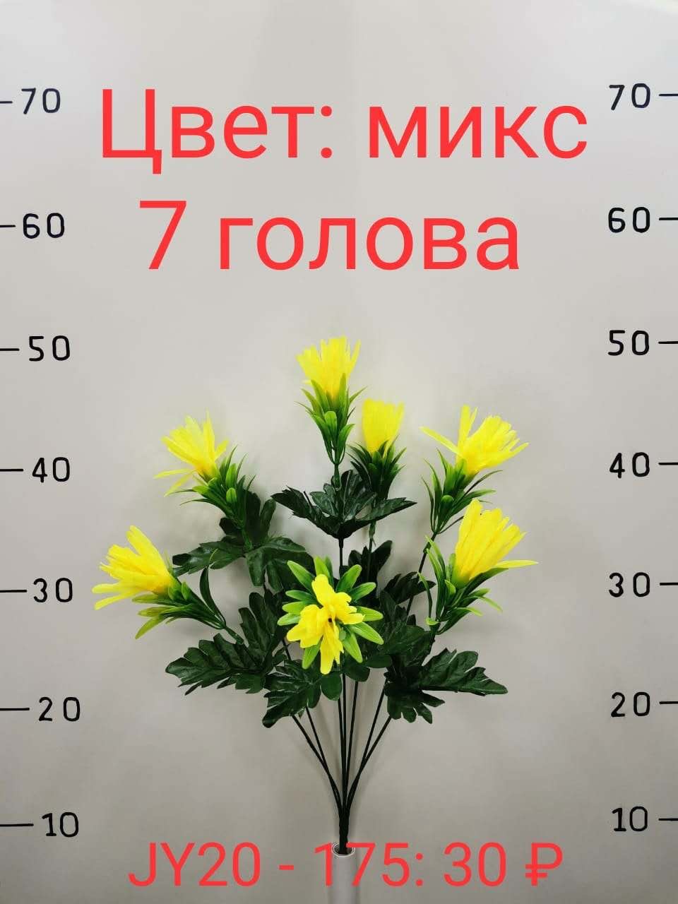 Seven small needle chrysanthemums