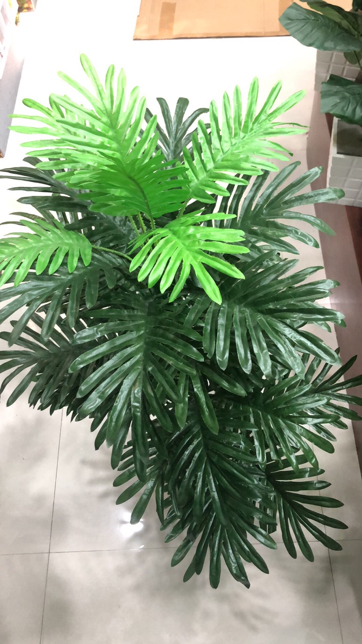 小树