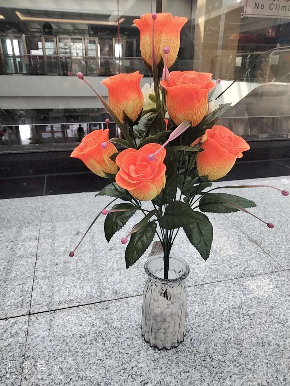 9头丝印中华蕾