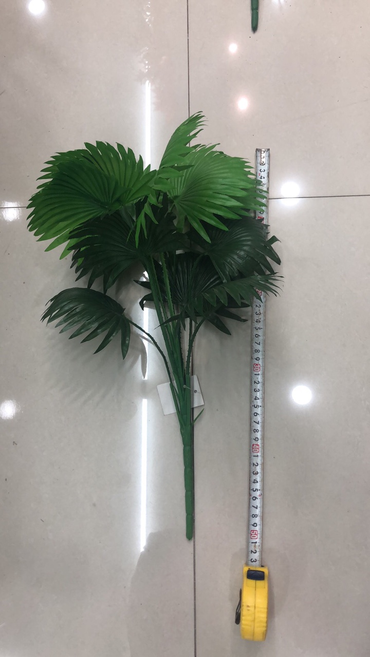 小扇叶
