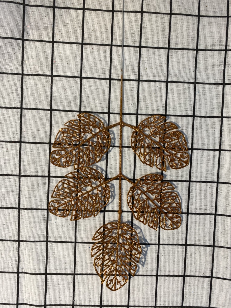 A single 5-forked small turtle-back leaf