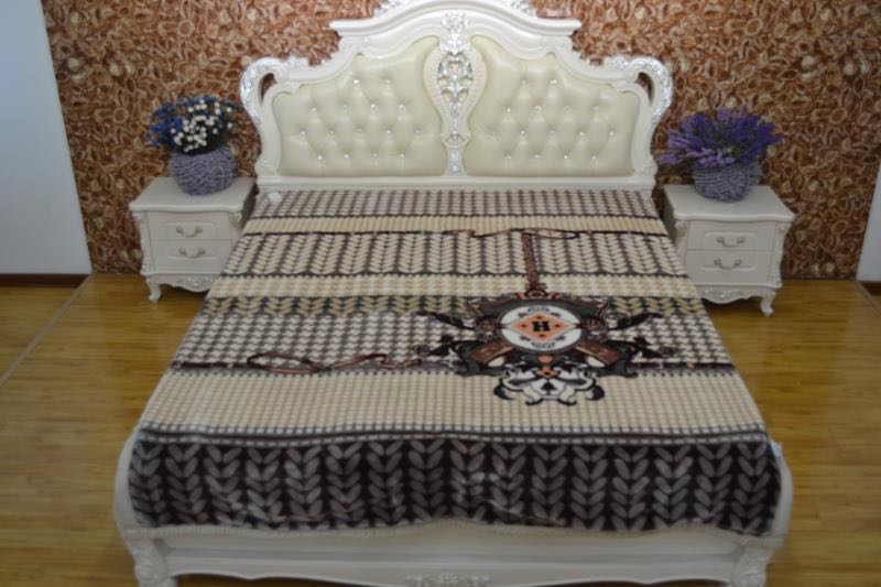 厂家批发外贸毛毯绒毯法兰绒珊瑚绒拉舍尔毛毯尺寸可定制花色37