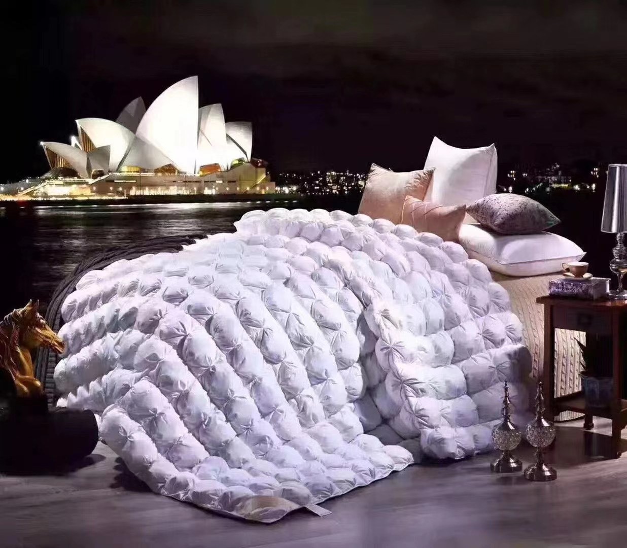 Goose Down The Duvet details Picture