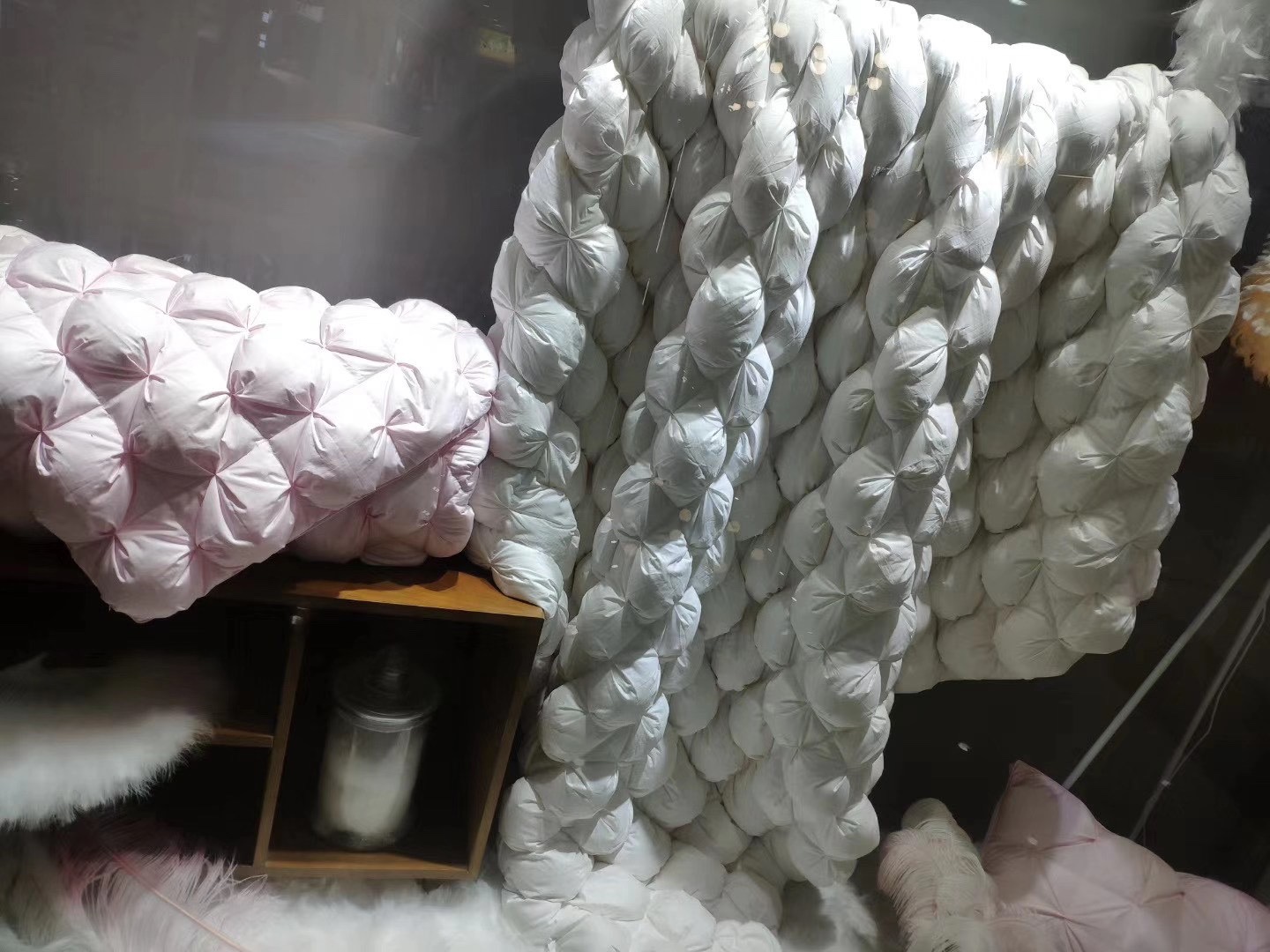 Goose Down The Duvet details Picture