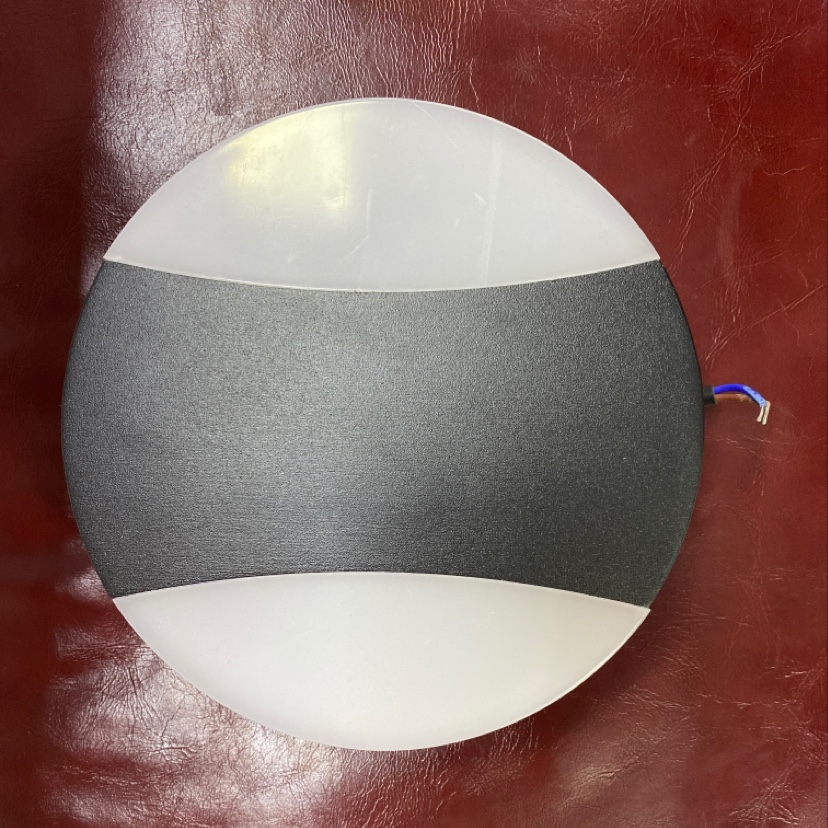 Led Wall Light Rl-B47-12W details Picture