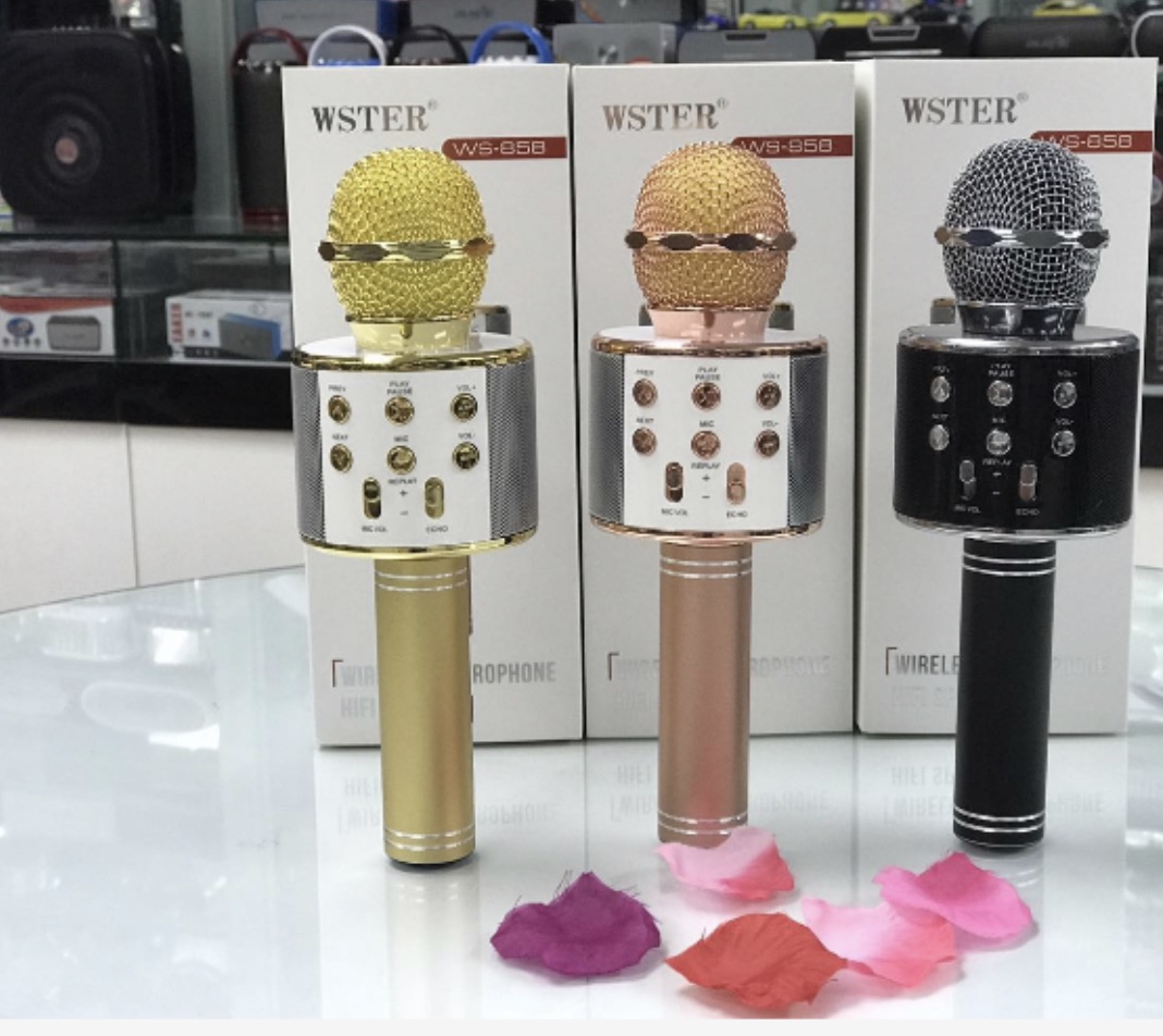 ws-858麦克风图
