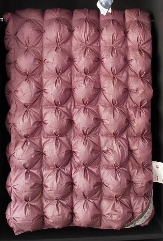 Goose Down The Duvet