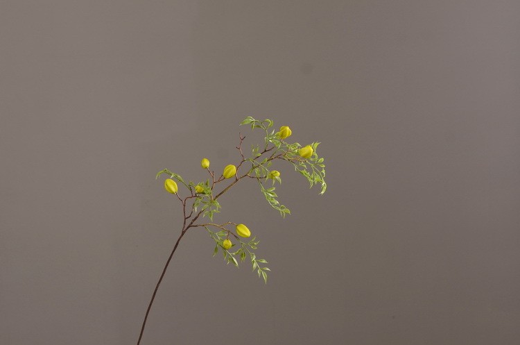 Lanjin Wholesale Artificial fruit Factory direct sales Home decoration artificial flowers, artificial star fruits, artificial small berries, artificial fruits and artificial flower art pic 9