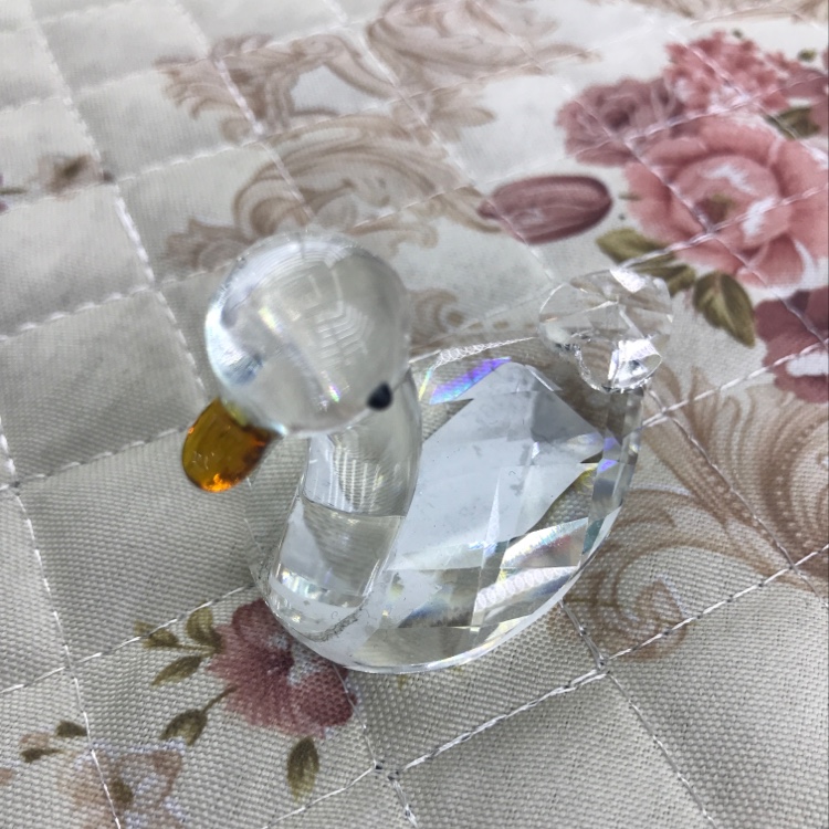 Duck duck
