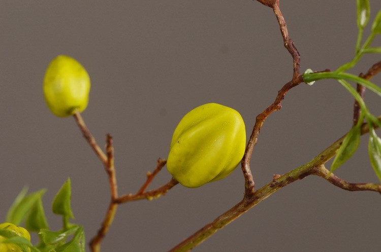 Lanjin Wholesale Artificial fruit Factory direct sales Home decoration artificial flowers, artificial star fruits, artificial small berries, artificial fruits and artificial flower art pic 12