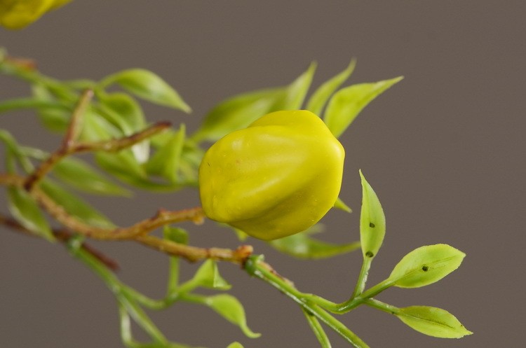 Lanjin Wholesale Artificial fruit Factory direct sales Home decoration artificial flowers, artificial star fruits, artificial small berries, artificial fruits and artificial flower art pic 11