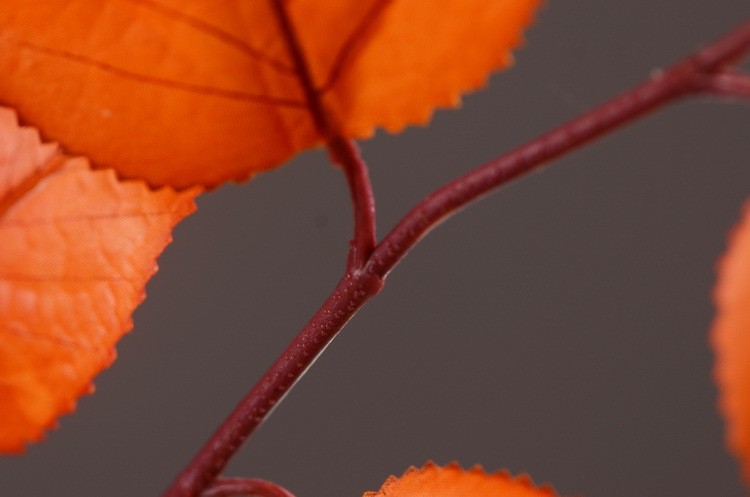 Lanjin Wholesale, best-selling products, factory direct sales, flower arrangement materials, artificial leaves, plants, artificial autumn colors, flowers and leaves, artificial home decoration detail image 10