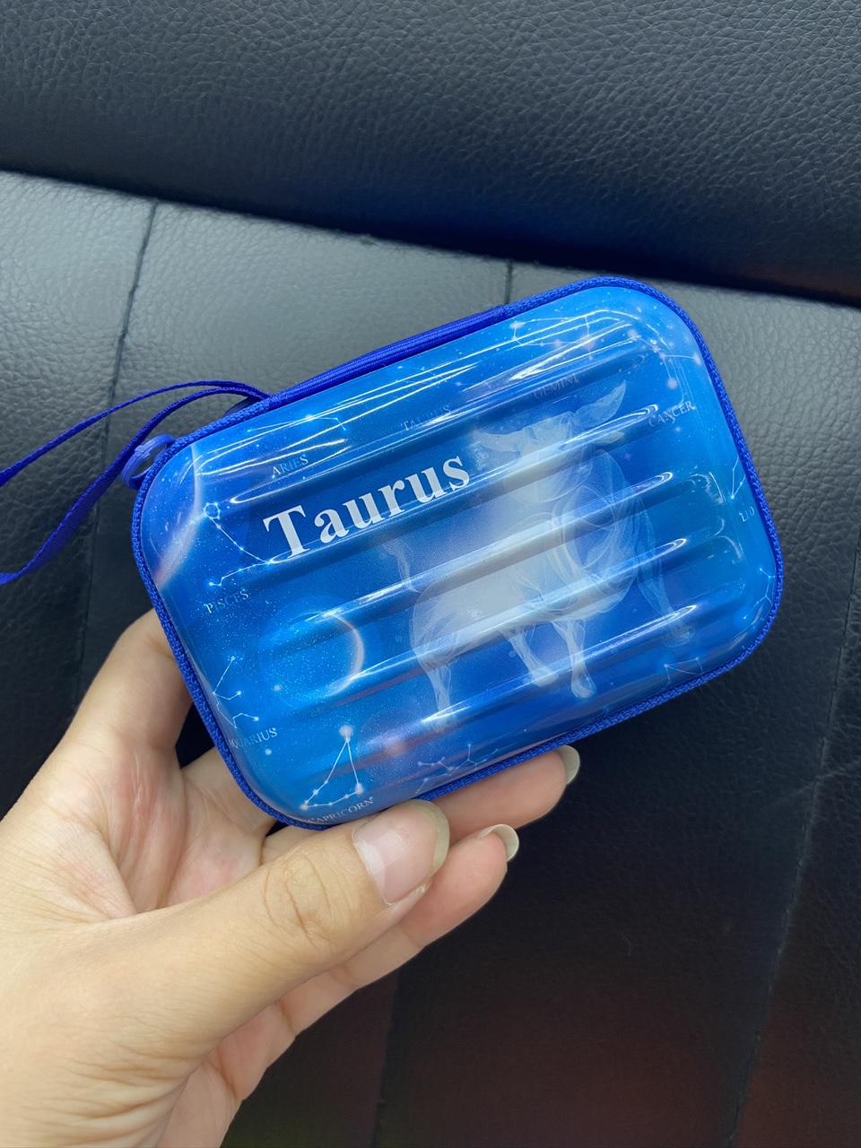 Tinplate change bag bag full figure