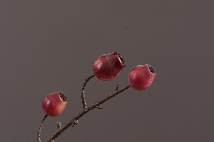 Lanjin Factory wholesales artificial eucalyptus fruit, artificial zombie fruit, artificial pipe fruit, artificial berry plants, creative artificial flowers for living room and dining table arrangements, and floral art ornaments pic 7