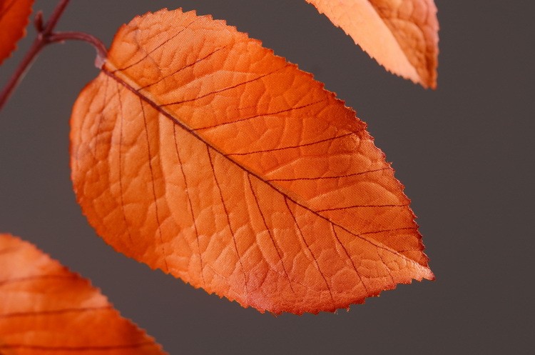 Lanjin Wholesale, best-selling products, factory direct sales, flower arrangement materials, artificial leaves, plants, artificial autumn colors, flowers and leaves, artificial home decoration detail image 9