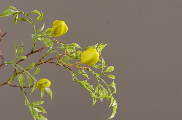 Lanjin Wholesale Artificial fruit Factory direct sales Home decoration artificial flowers, artificial star fruits, artificial small berries, artificial fruits and artificial flower art pic 10