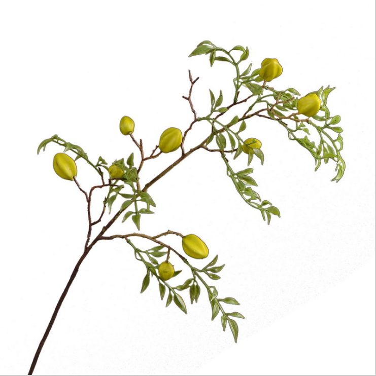 Lanjin Wholesale Artificial fruit Factory direct sales Home decoration artificial flowers, artificial star fruits, artificial small berries, artificial fruits and artificial flower art Item Picture