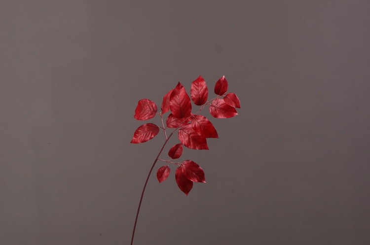 Lanjin Wholesale, best-selling products, factory direct sales, flower arrangement materials, artificial leaves, plants, artificial autumn colors, flowers and leaves, artificial home decoration detail image 16