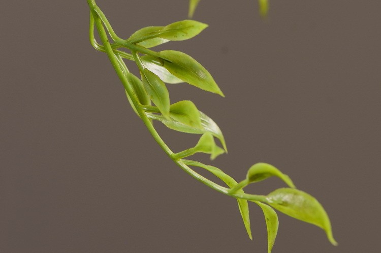 Lanjin Wholesale Artificial fruit Factory direct sales Home decoration artificial flowers, artificial star fruits, artificial small berries, artificial fruits and artificial flower art pic 13