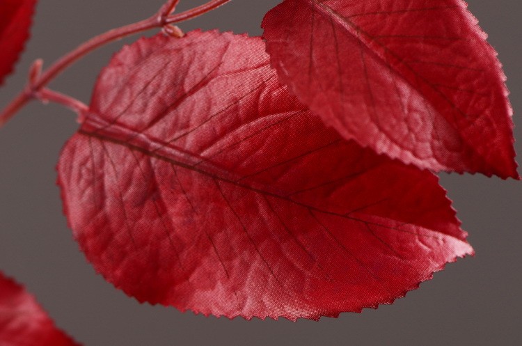 Lanjin Wholesale, best-selling products, factory direct sales, flower arrangement materials, artificial leaves, plants, artificial autumn colors, flowers and leaves, artificial home decoration detail image 18