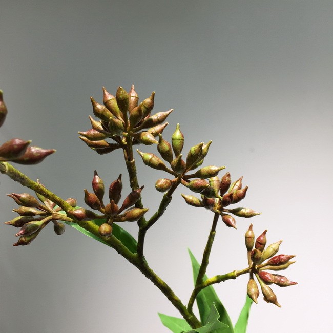 兰瑾 仿真花厂家直销批发高端仿真绿色植物DIY插花配材仿真桉树果详情图14