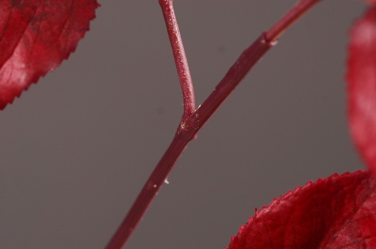 Lanjin Wholesale, best-selling products, factory direct sales, flower arrangement materials, artificial leaves, plants, artificial autumn colors, flowers and leaves, artificial home decoration detail image 19