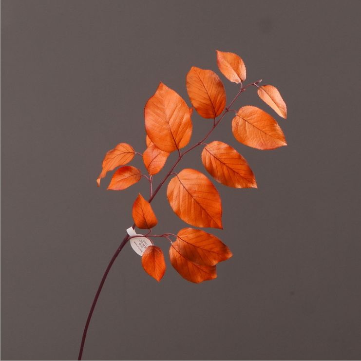 Lanjin Wholesale, best-selling products, factory direct sales, flower arrangement materials, artificial leaves, plants, artificial autumn colors, flowers and leaves, artificial home decoration undefined