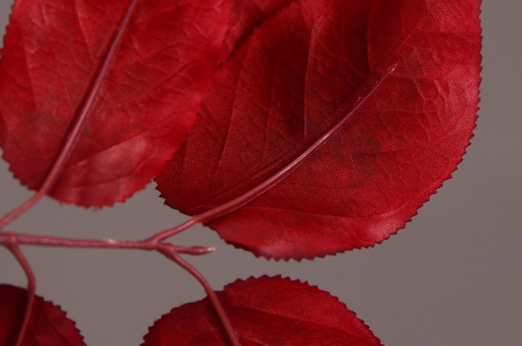 Lanjin Wholesale, best-selling products, factory direct sales, flower arrangement materials, artificial leaves, plants, artificial autumn colors, flowers and leaves, artificial home decoration detail image 20