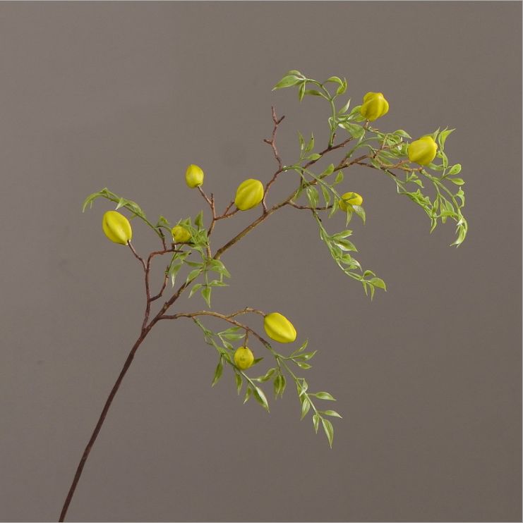 Lanjin Wholesale Artificial fruit Factory direct sales Home decoration artificial flowers, artificial star fruits, artificial small berries, artificial fruits and artificial flower art Application Scenario