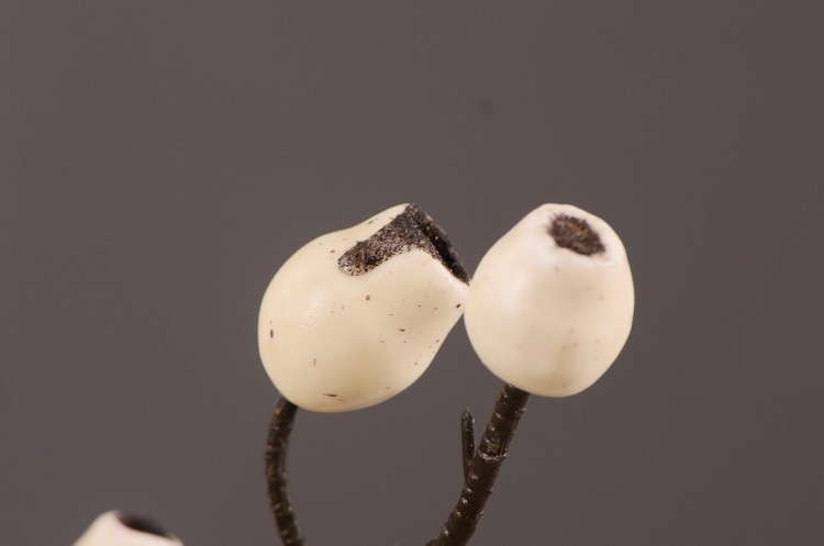 Lanjin Factory wholesales artificial eucalyptus fruit, artificial zombie fruit, artificial pipe fruit, artificial berry plants, creative artificial flowers for living room and dining table arrangements, and floral art ornaments pic 20