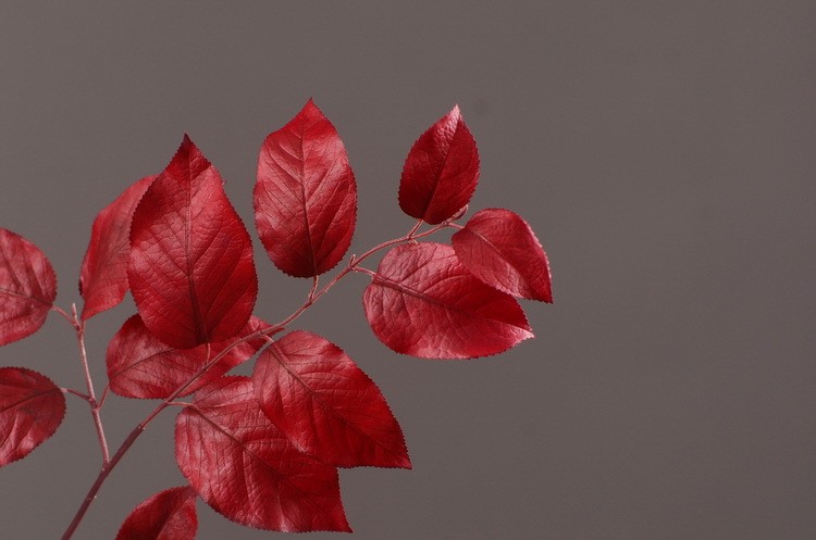 Lanjin Wholesale, best-selling products, factory direct sales, flower arrangement materials, artificial leaves, plants, artificial autumn colors, flowers and leaves, artificial home decoration detail image 17