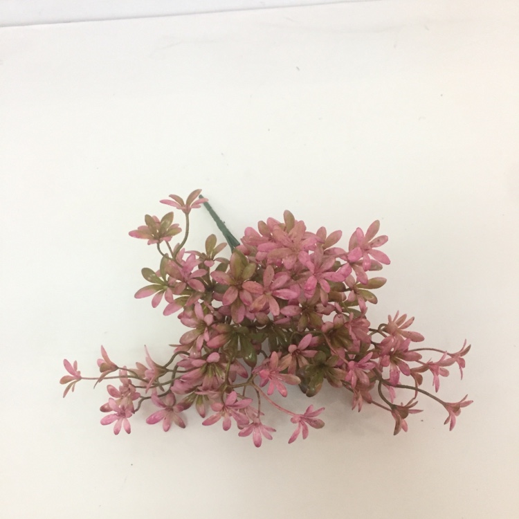 5 Head French Jasmine Flower Simulation Small Flower Fake Flower Placement Flowers undefined