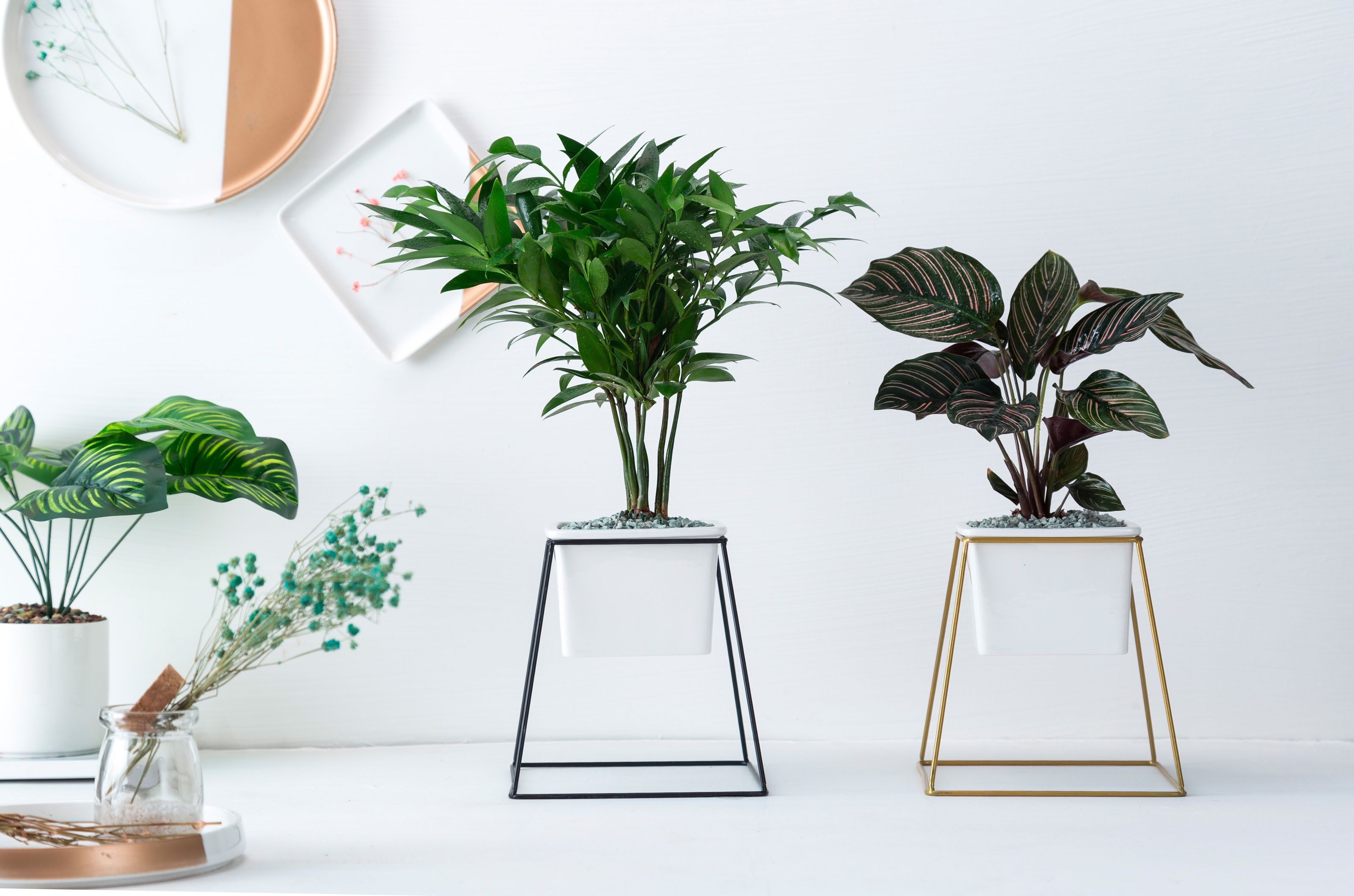 Simple tie Yi landing flower frame living room green plant flower arranger light luxury home indoor metal decoration furnishing tie Yi flowerpot flower frame vase thumbnail