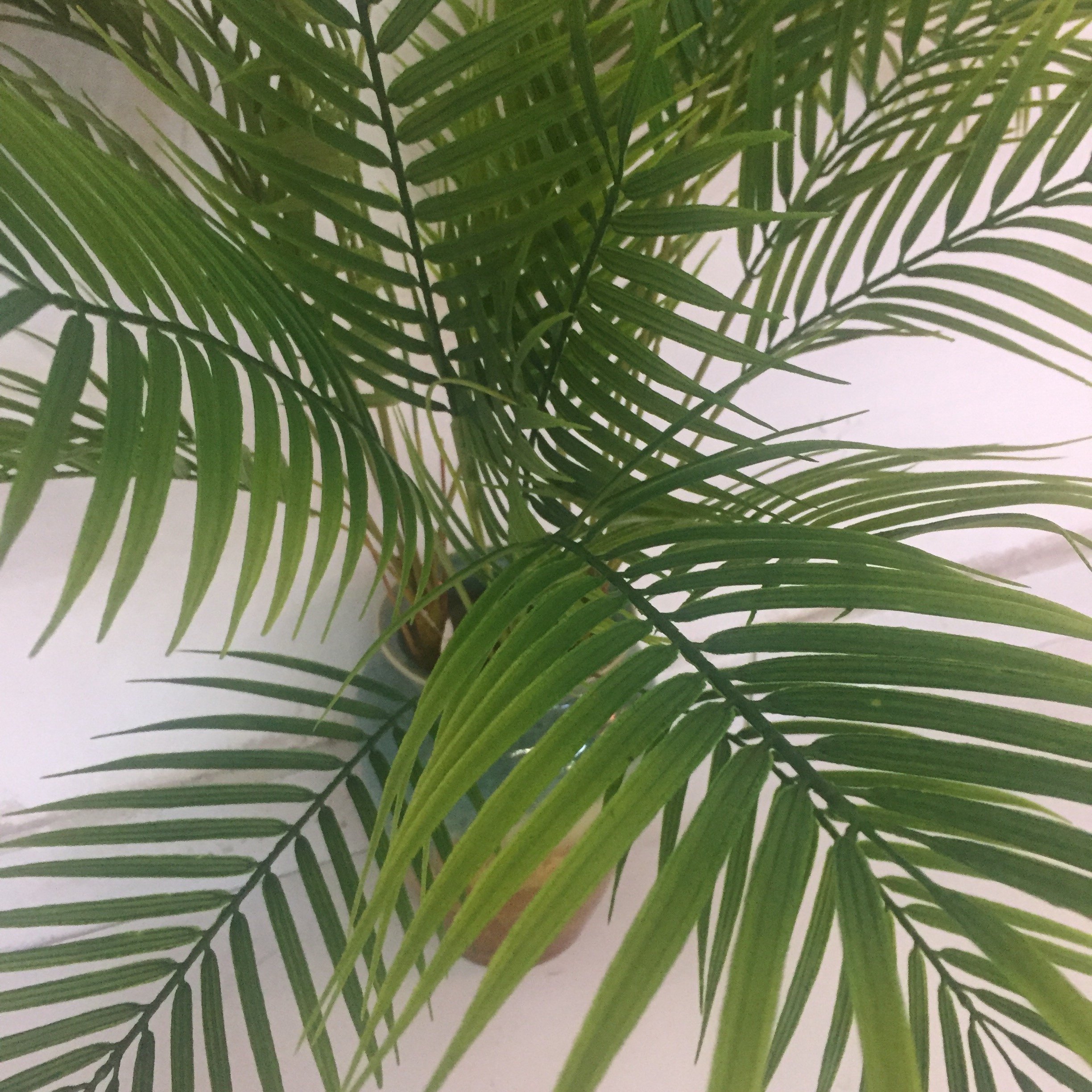 7 Leaf Wind Tail Bamboo Simulation Green Plant Simulation Green Leaf Engineering Flowers And Plants Specification drawing